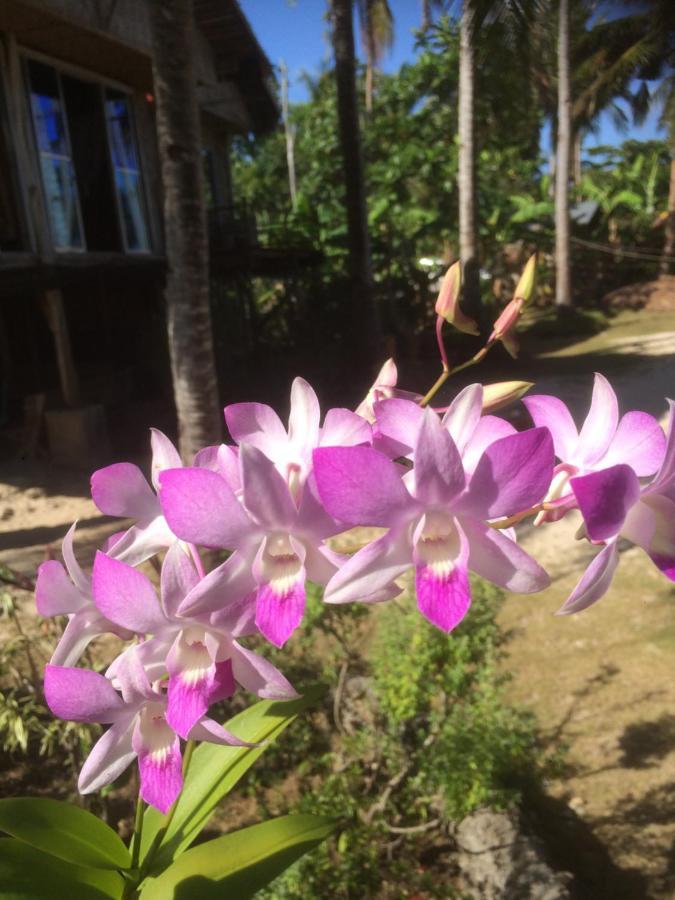 We Call It Rainbow Paradise Daanbantayan Exterior photo